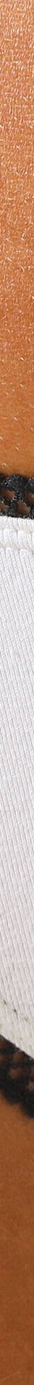 Slip coton imprimé motifs "abeilles" assortis – Lot de 4 (noir / jaune) Slip coton imprimé motifs "abeilles" assortis – Lot de 4 (noir / jaune)